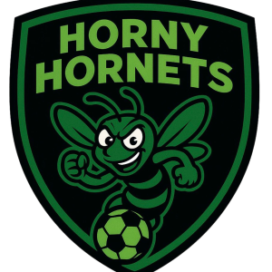 HORNY HORNETS