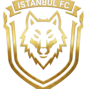 ISTANBUL FC