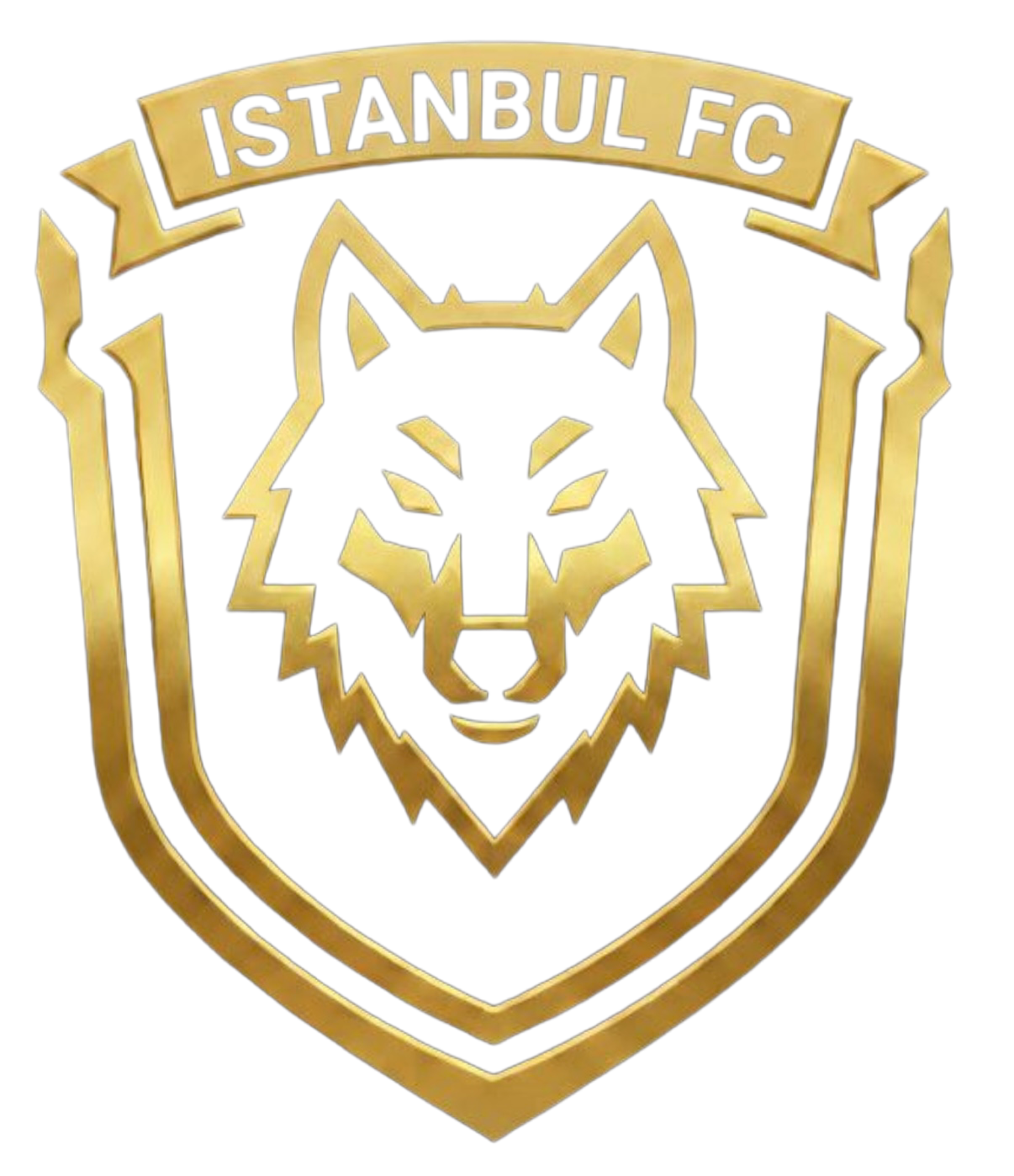 ISTANBUL FC