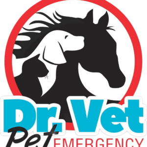 DR. VET