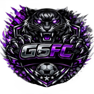G6 FC